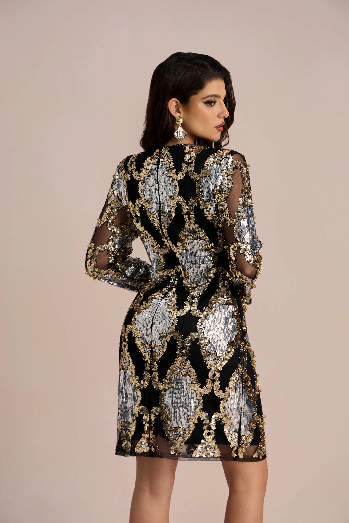 Vivien Sequins Embroidery Sheer Mini Dress