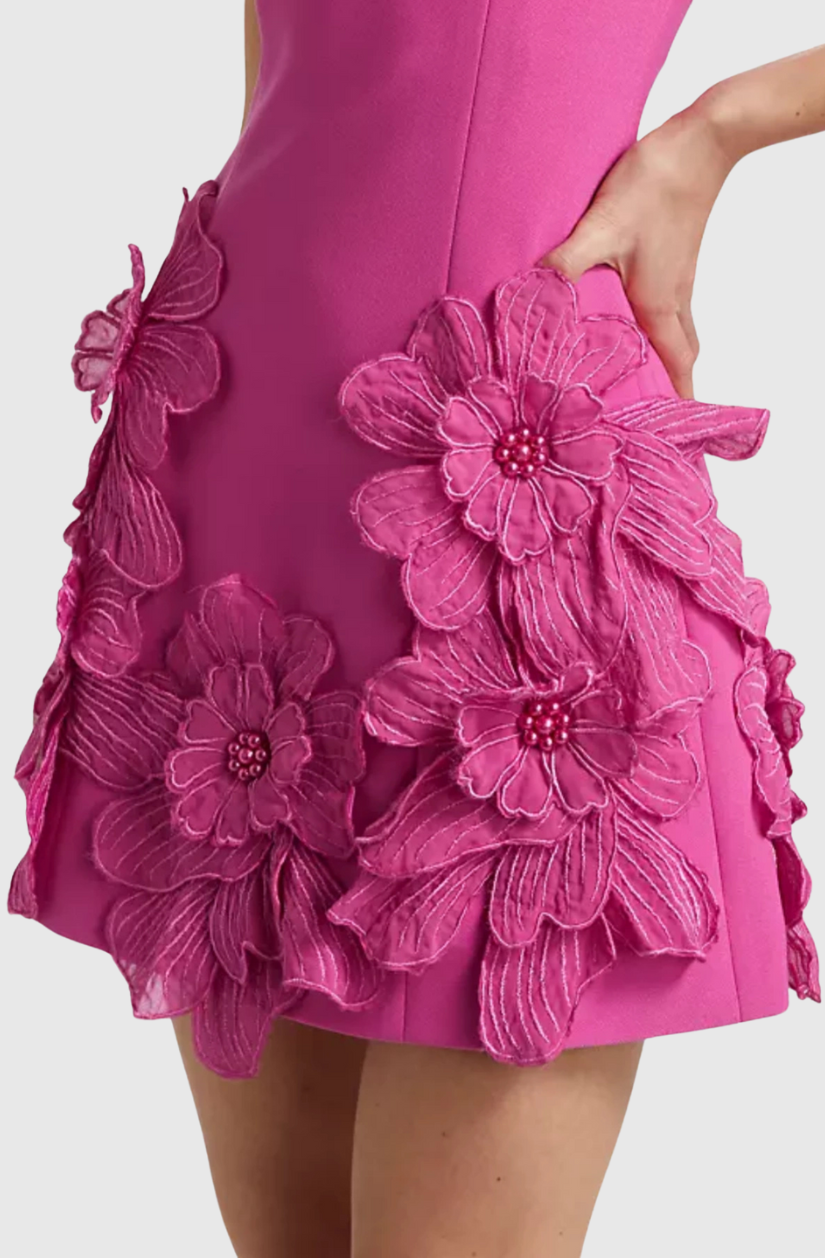 Adalgisa Floral Appliqué Mini Dress - Pink