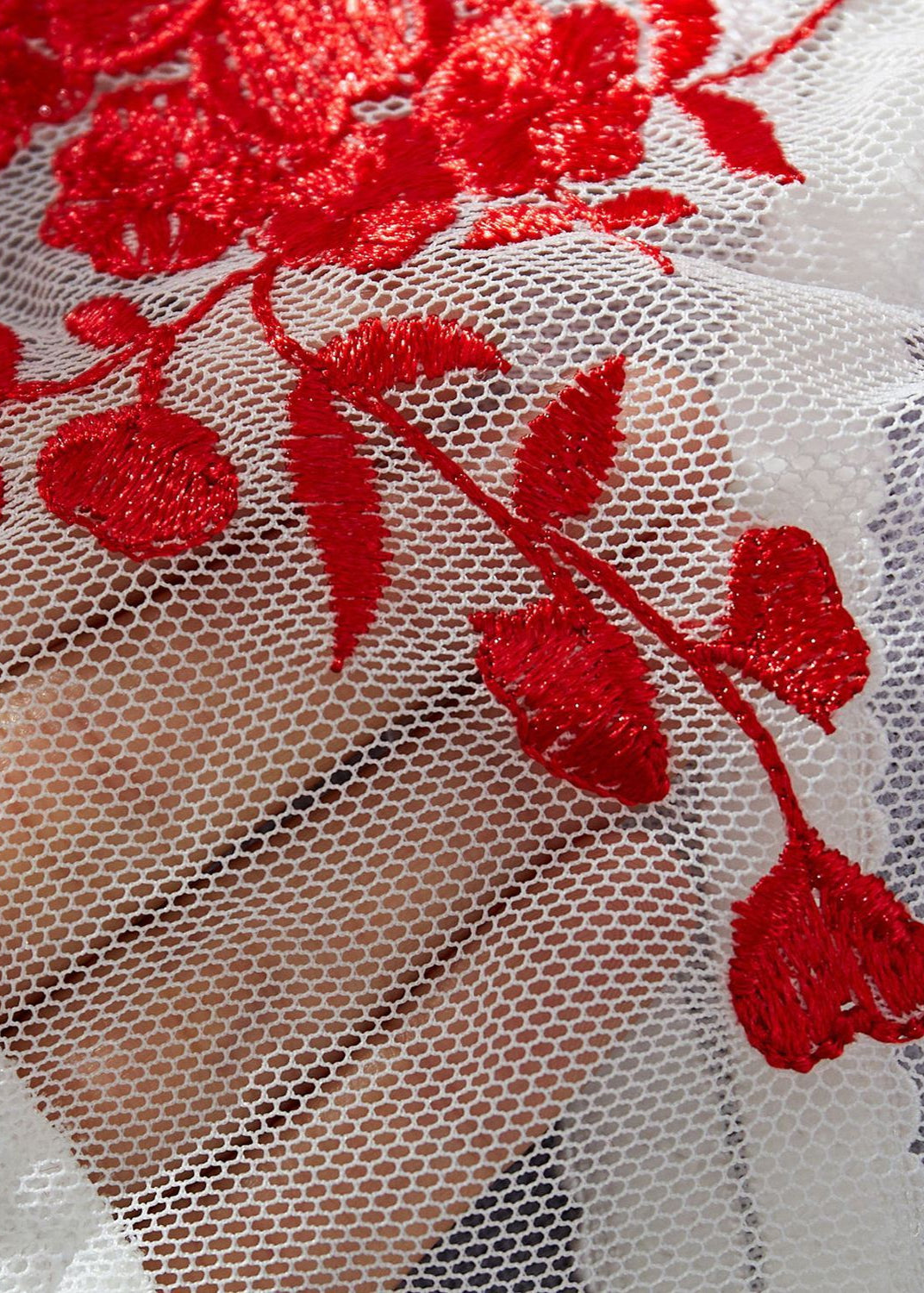Crimson Bloom – Red Embroidered Mesh Lingerie Set with Triangle Cups
