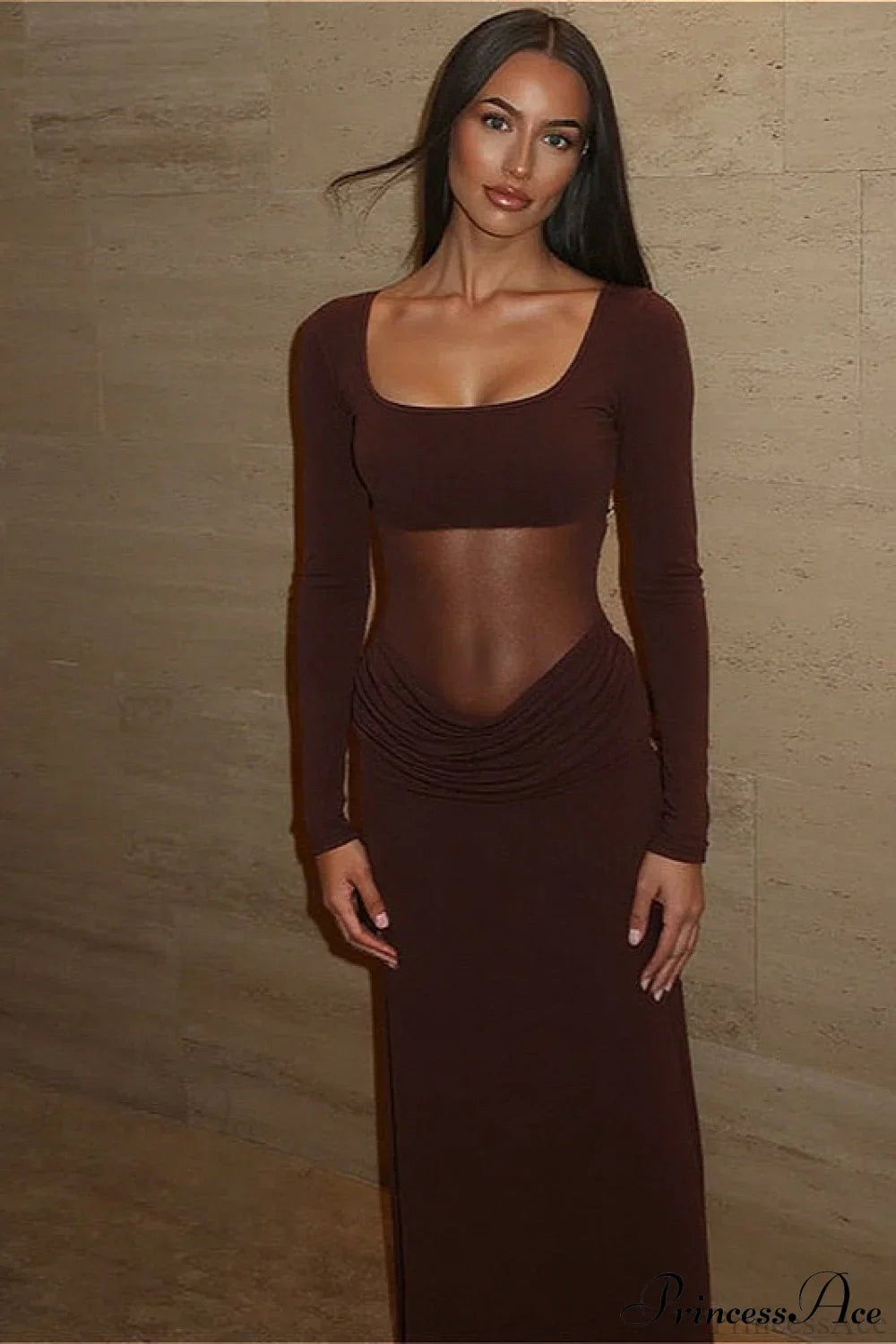 Classy Sheer Mesh Long Sleeve Slim Maxi Dress