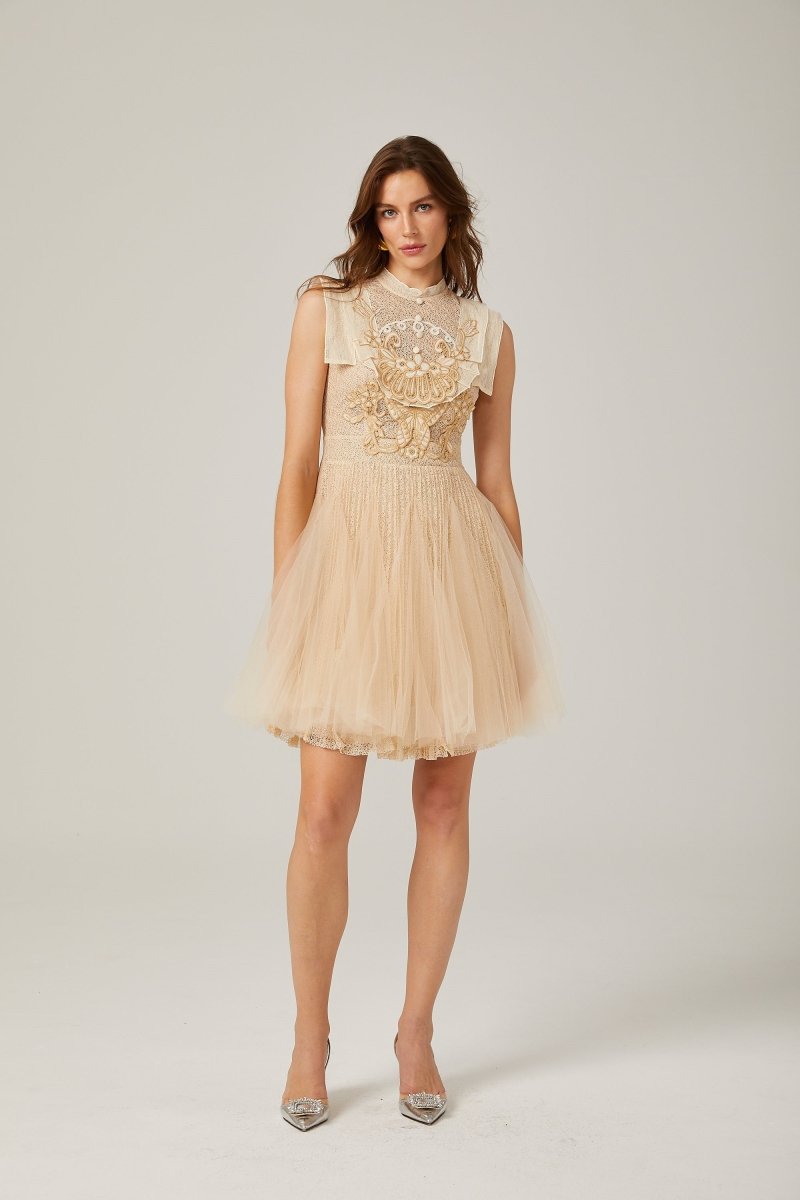 Elizabeth Butterfly Embroidered Tulle Mini Dress