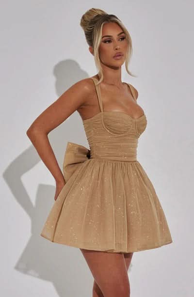 Sequin Corset Sweetheart Neckline Bow Back Fit And Flare Mini Dress
