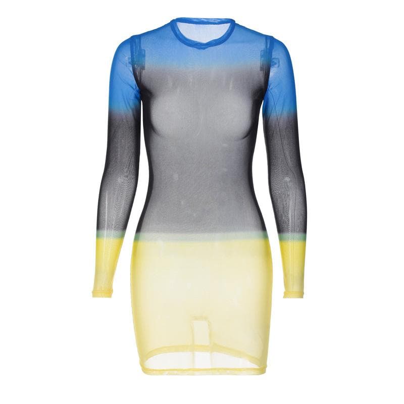 Contrast Sheer Mesh Colorblock Crew Neck Long Sleeve Mini Dress