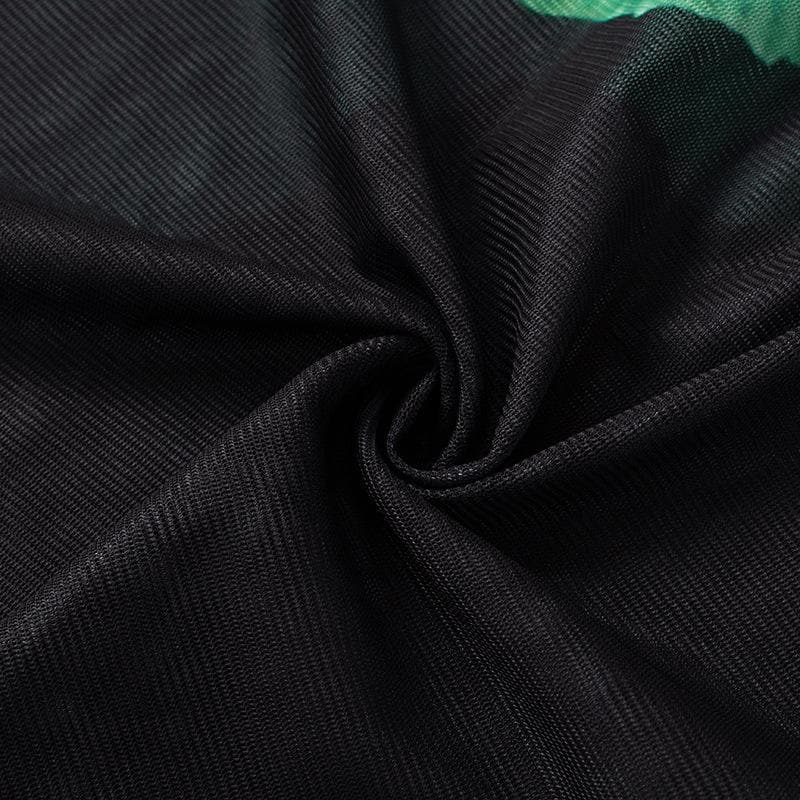 Long sleeve sheer mesh print crewneck maxi dress