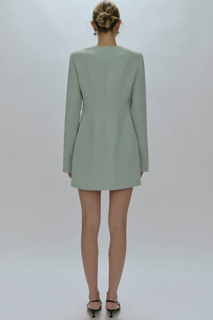 Crew Neck Single Breasted Button Front Princess Seam Mini Dress