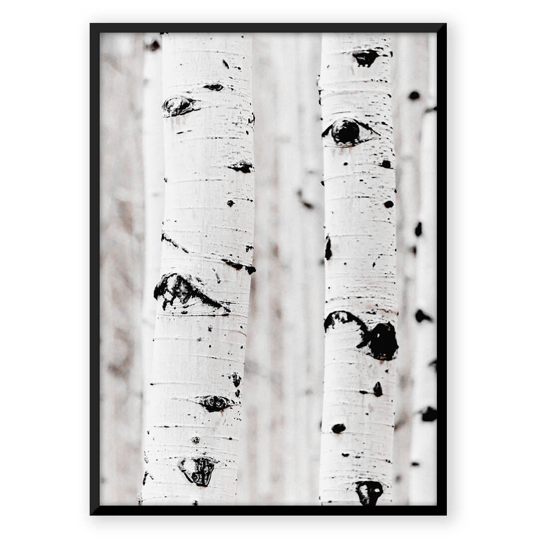 Oak Tree