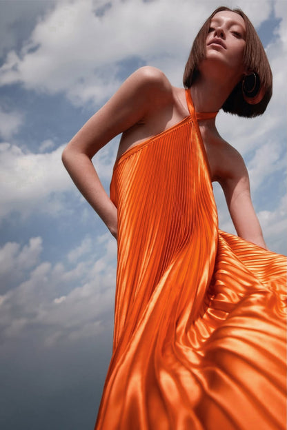 Novia Halter Neck Pleated Maxi Dress