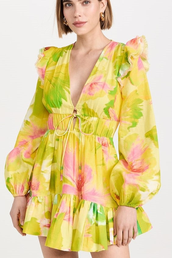 Floral V-Neck Frill Lantern Sleeve Mini Dress