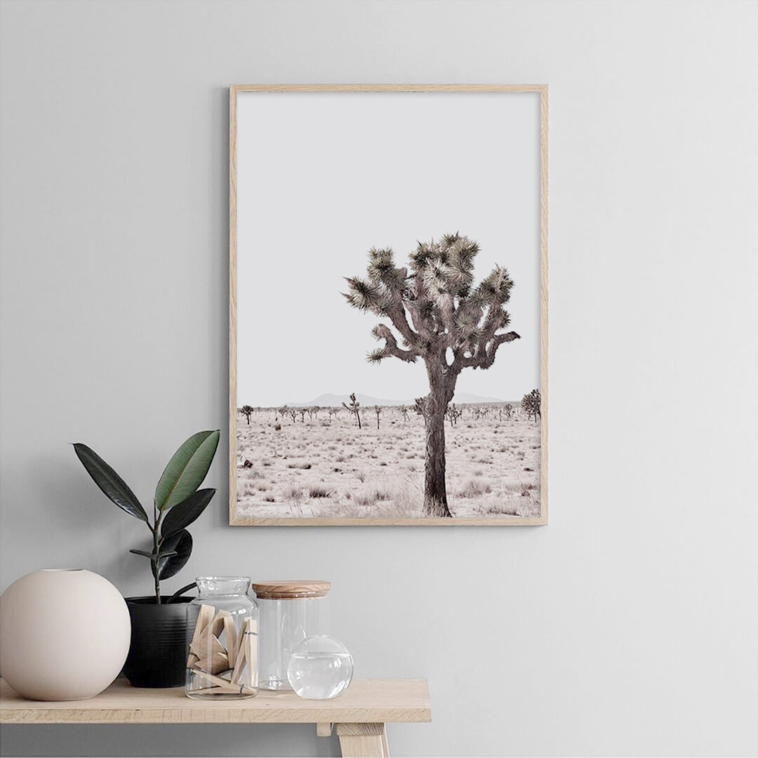 Joshua Tree