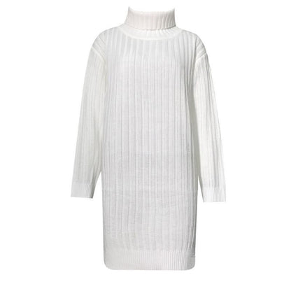 Ribbed Knit Turtleneck Long Sleeve Mini Sweater Dress