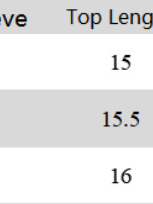 Ruffled Top & Irregular Asymmetric Skirt Set