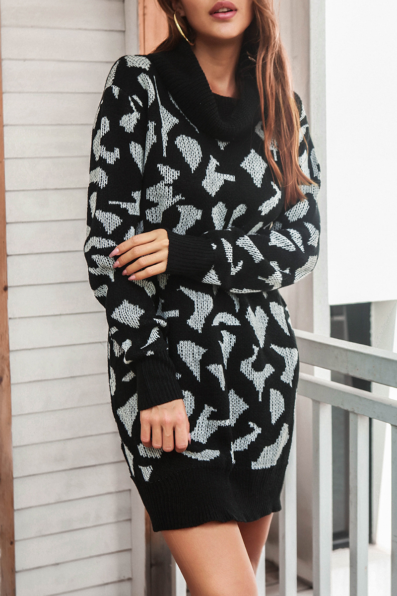 Casual Print  Contrast Turtleneck Dresses Sweater