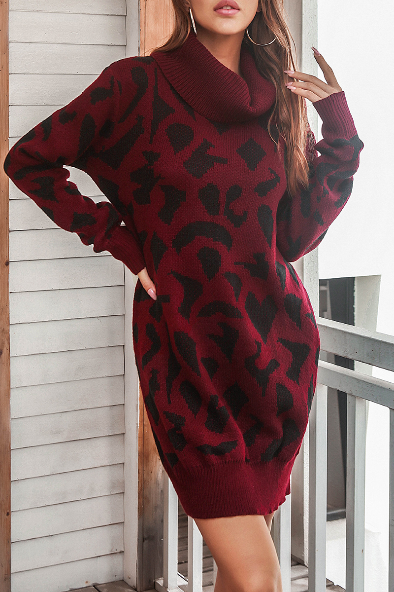 Casual Print  Contrast Turtleneck Dresses Sweater