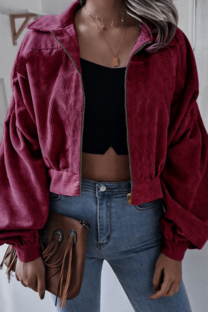 Casual Street Solid Split Joint Zipper Turndown Collar Outerwear