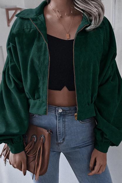 Casual Street Solid Split Joint Zipper Turndown Collar Outerwear