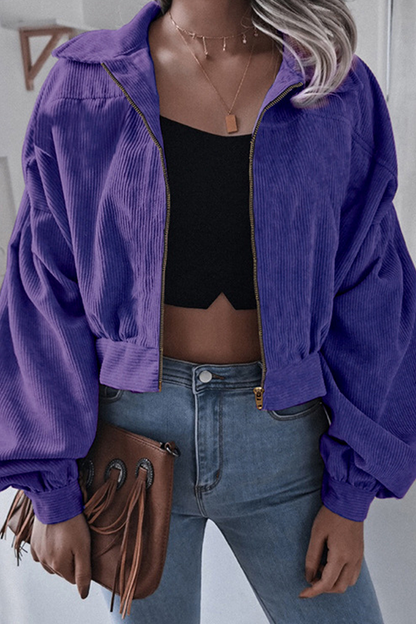 Casual Street Solid Split Joint Zipper Turndown Collar Outerwear