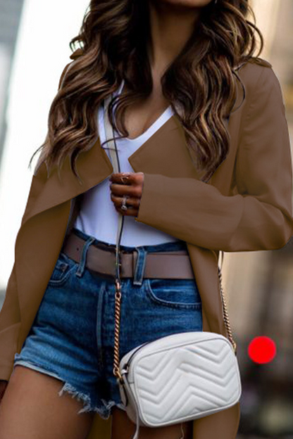 Fashion Elegant Solid Turndown Collar Outerwear