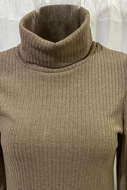 Casual Solid Buckle Fold Turtleneck Tops(3 Colors)