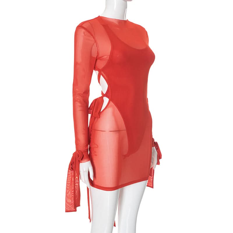 Long sleeve mesh cross back button mini dress