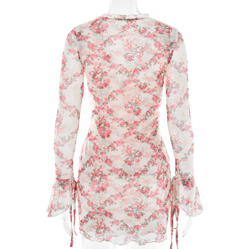 Long sleeve v neck flower print mesh mini dress