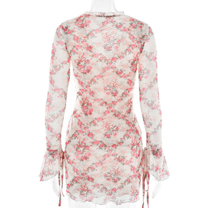 Long sleeve v neck flower print mesh mini dress