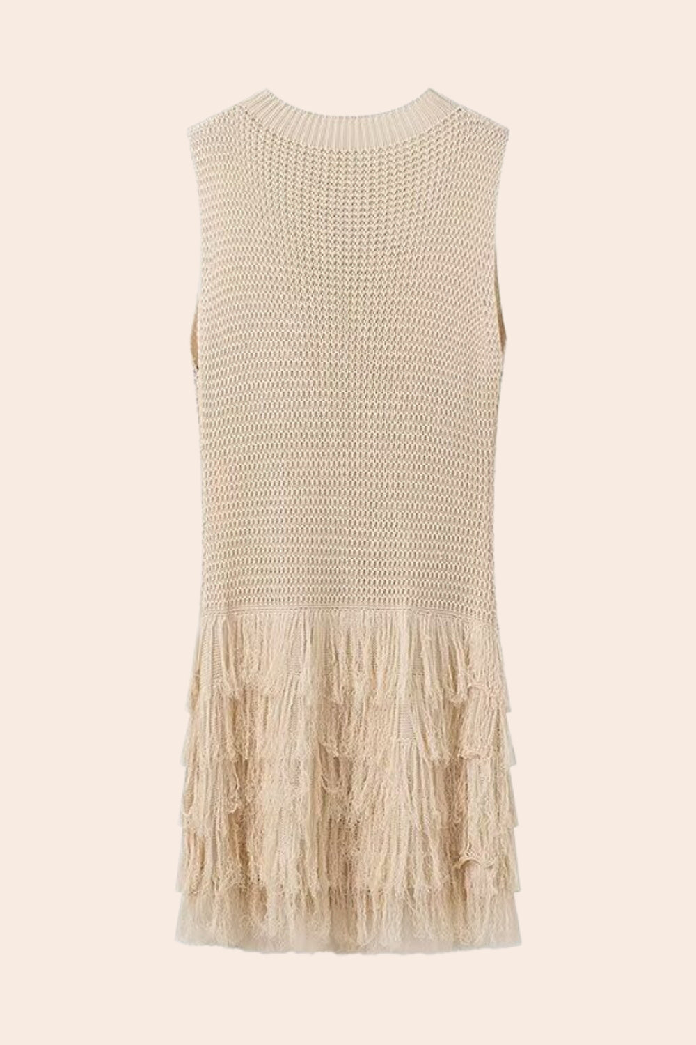 Truda Sleeveless Fringes Knitted Mini Dress