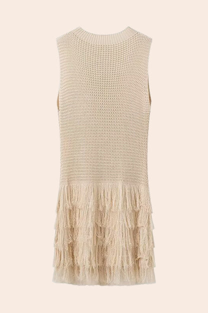 Truda Sleeveless Fringes Knitted Mini Dress