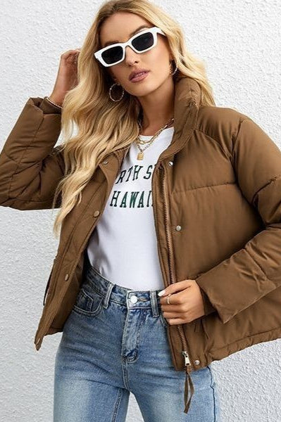 Modern Cropped Puffy Puffer Jacket