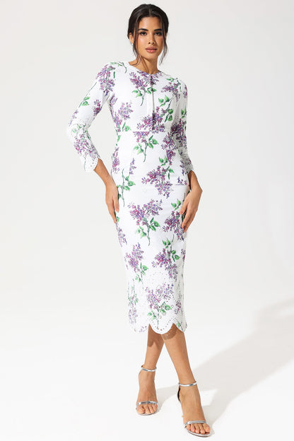 Floral Long Sleeve Crew Collar Broderie Anglaise Maxi Dress