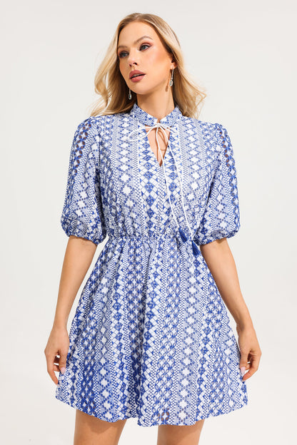 V-Neck Embroidered Puff Sleeve Mini Dress