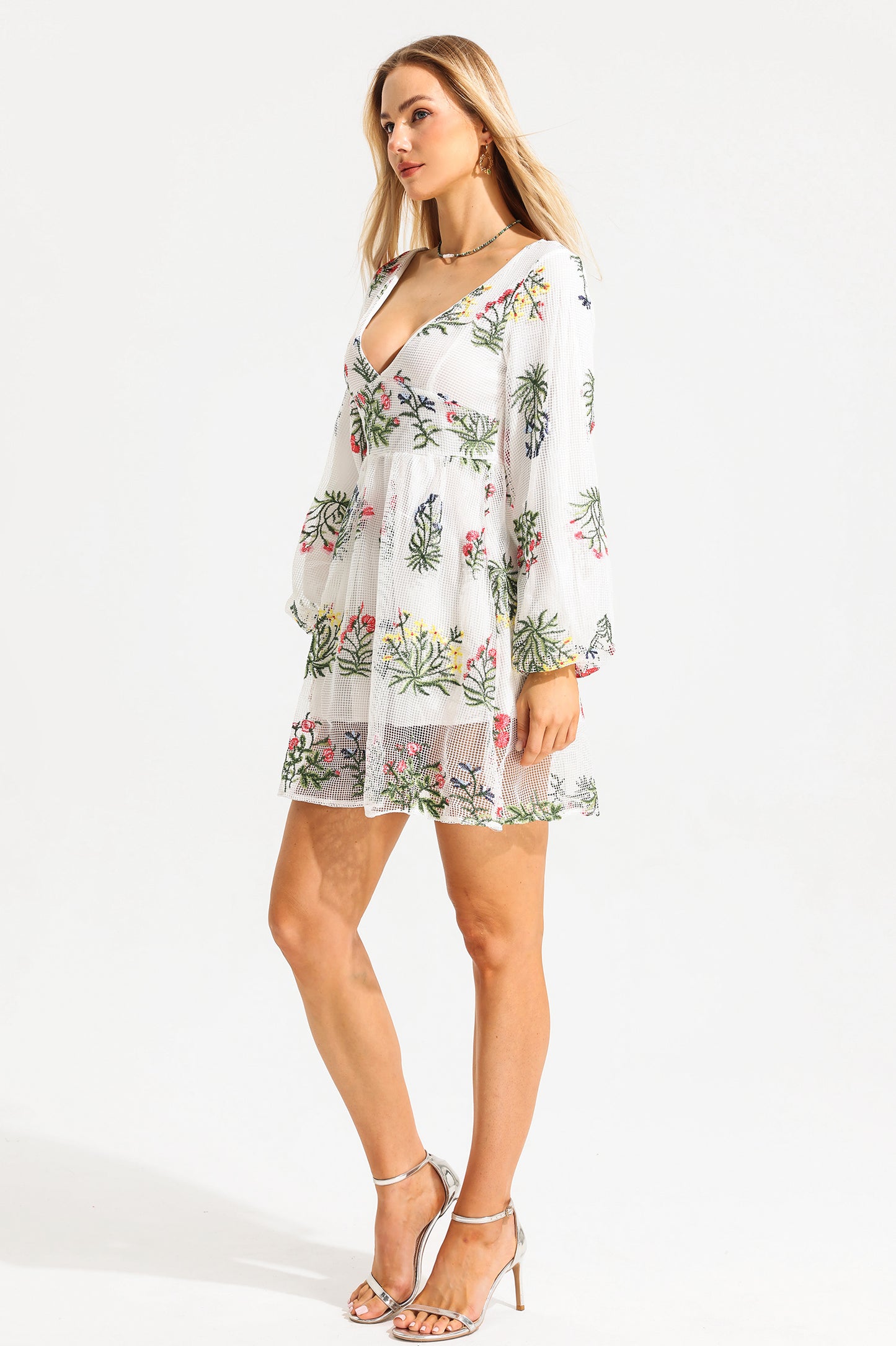 Embroidered Floral Lantern Sleeve V-Neck Mini Dress