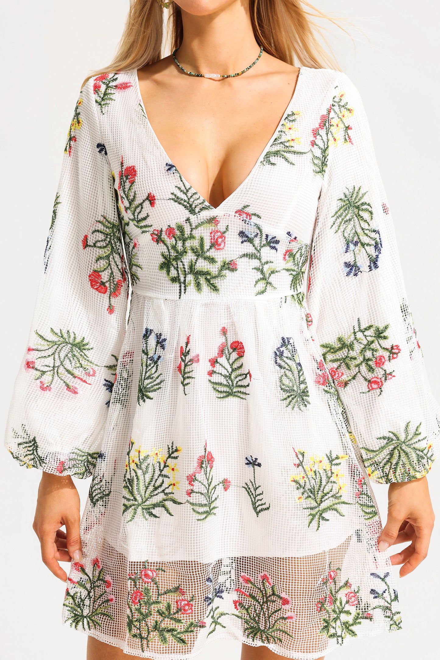 Embroidered Floral Lantern Sleeve V-Neck Mini Dress