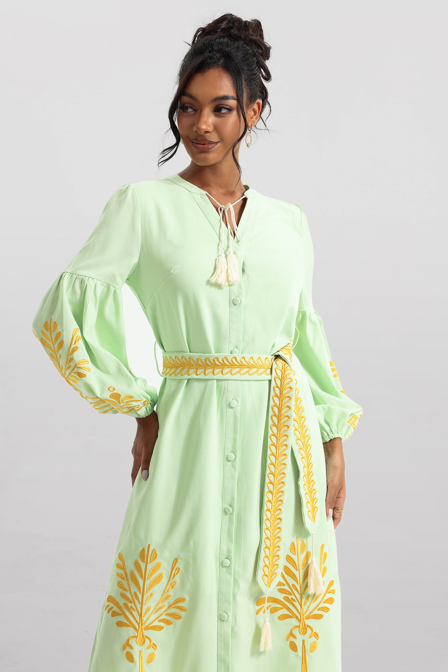 Embroidered Button Long Sleeve Midi Dress With Belt