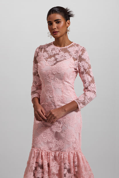 Embroidered Round Neck Long Sleeve Maxi Dress