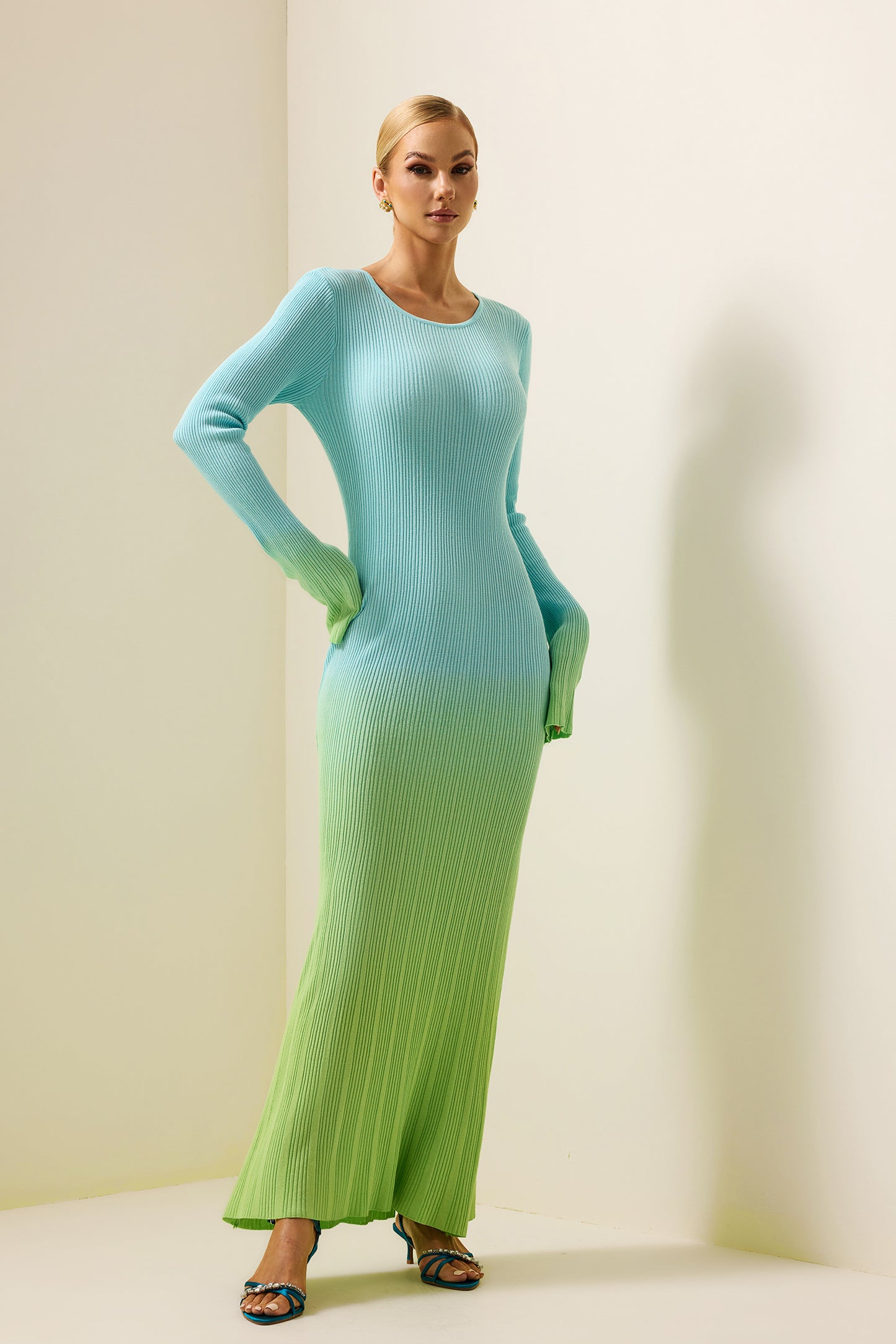 Jersey Gradient Color Long Sleeve Midi Dress