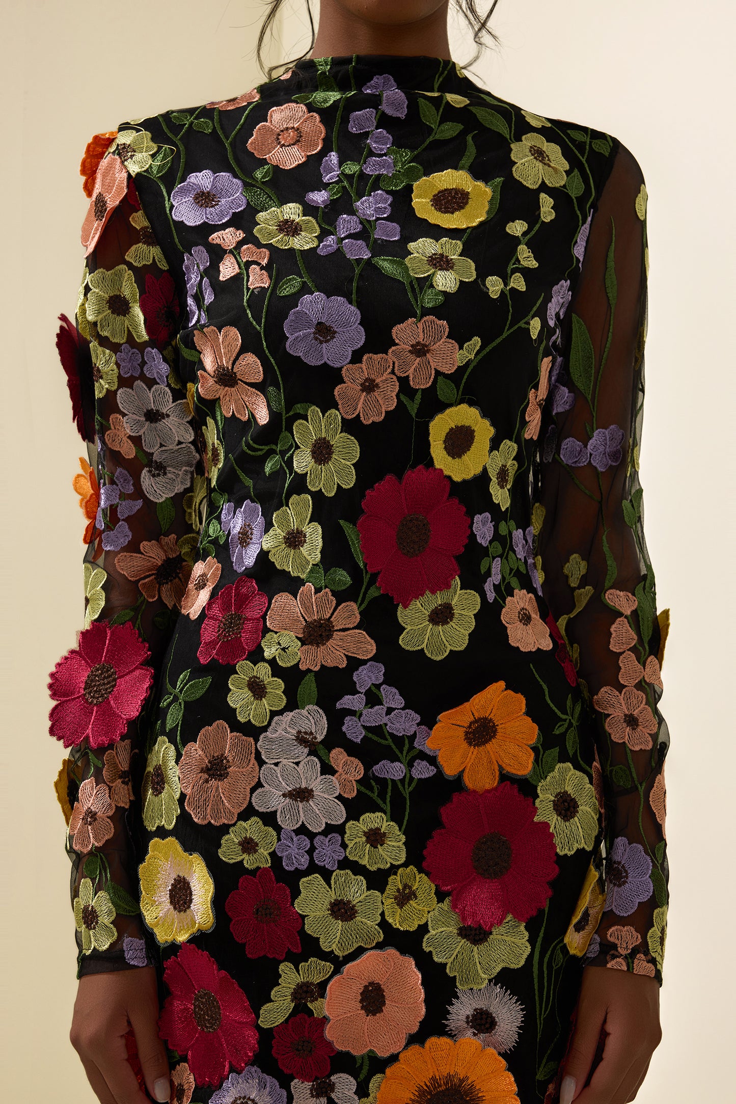 Floral Embroidered Long Sleeve Mini Dress