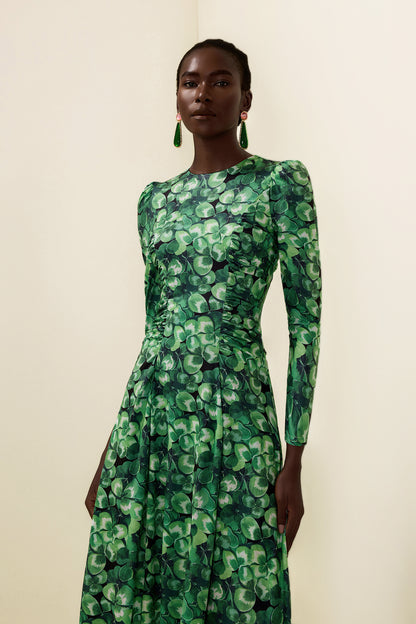 Botanical Print Long Sleeve Round Neck Maxi Dress