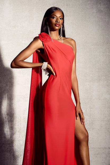 Norma Floral Applique One Shoulder Maxi Dress