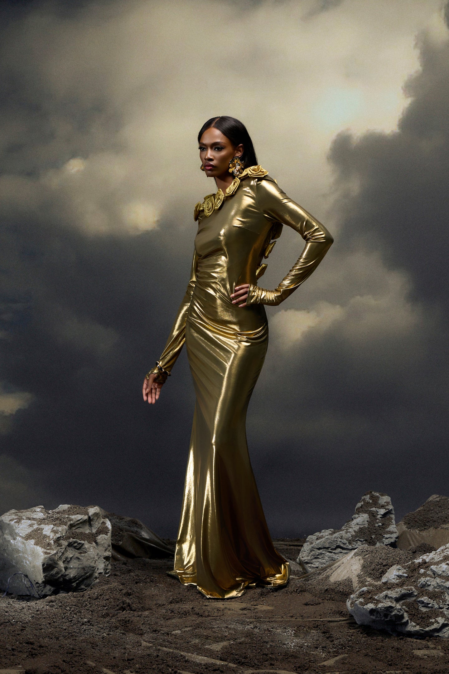 Octavia Floral Applique Backless Maxi Dress