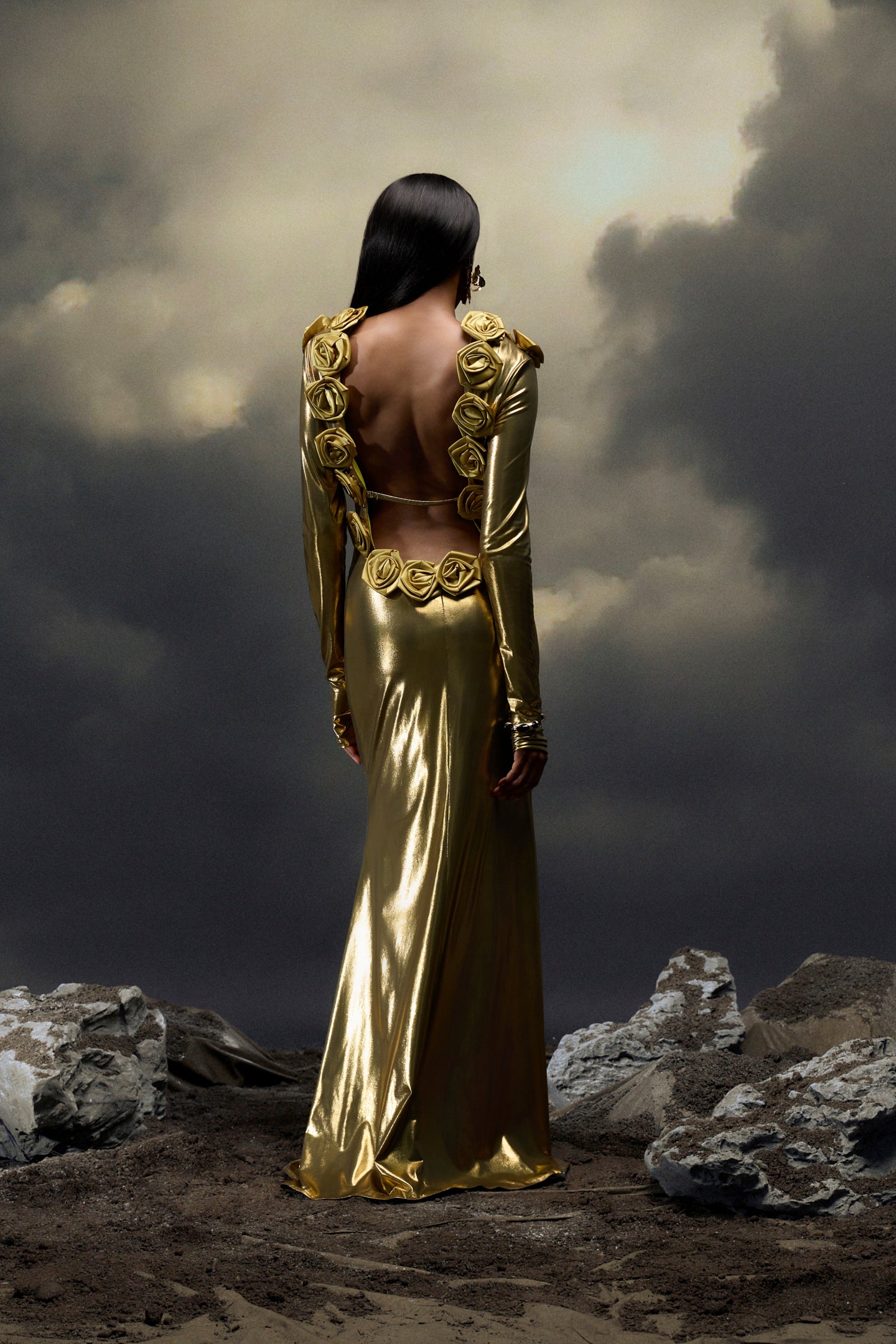 Octavia Floral Applique Backless Maxi Dress