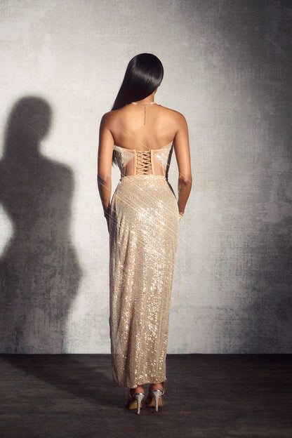 Odelia Sequin Embroidery Strapless Maxi Dress