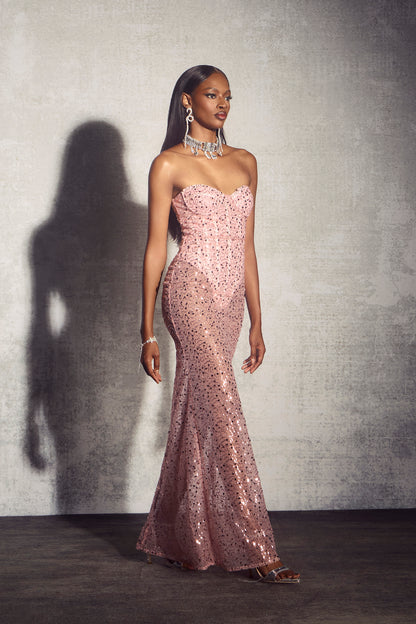 Rosalind Sequin Corset Semi-sheer Maxi Dress
