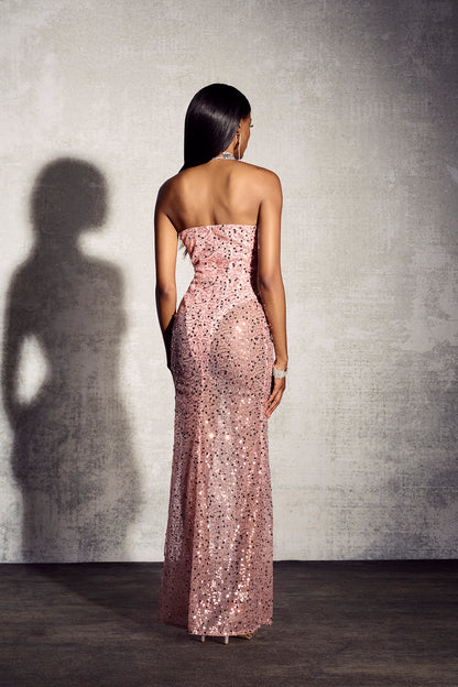 Rosalind Sequin Corset Semi-sheer Maxi Dress