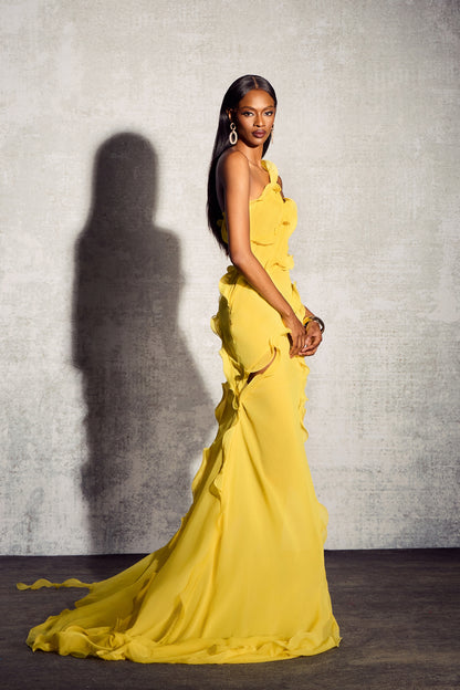 Gloria One Shoulder Ruffle Maxi Chiffon Dress