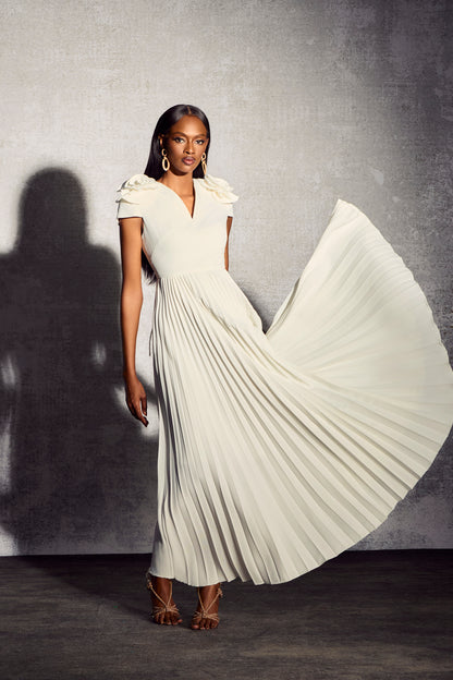 Grace V-neck Floral Pleated Maxi Dress