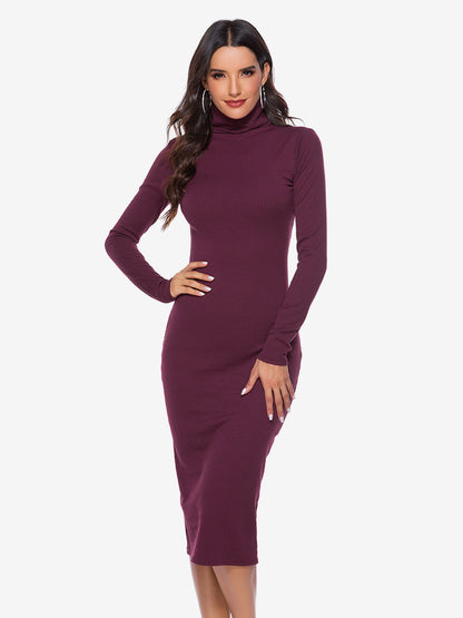 Knitted Dress For Women Comfy Polyester Long Sleeves High Collar