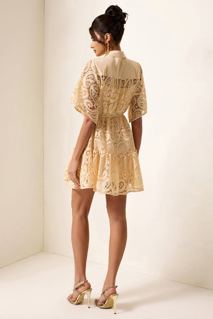 Solid Lace Shirt Collar Mini Dress