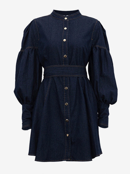 Denim Skater Dress Puff Sleeve Button-Up A-line Mini Dress For Women 2026