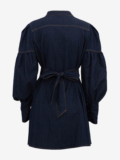 Denim Skater Dress Puff Sleeve Button-Up A-line Mini Dress For Women 2026