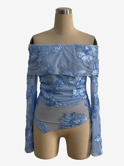 Off Shoulder Mesh Long Sleeve Top With 3D Floral Embroidery For Women 2026